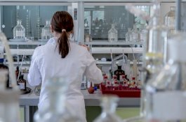 Jepang Izinkan Penanaman Sel Induk Manusia ke Hewan