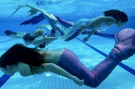 Belajar Cuma Pakai Bikini, Sekolah Duyung di Kuala Lumpur Tarik Perhatian