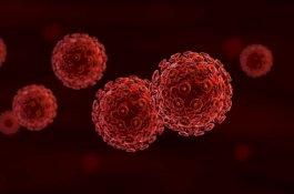 Usai Transplantasi, Pria Ini Bersih dari Virus HIV