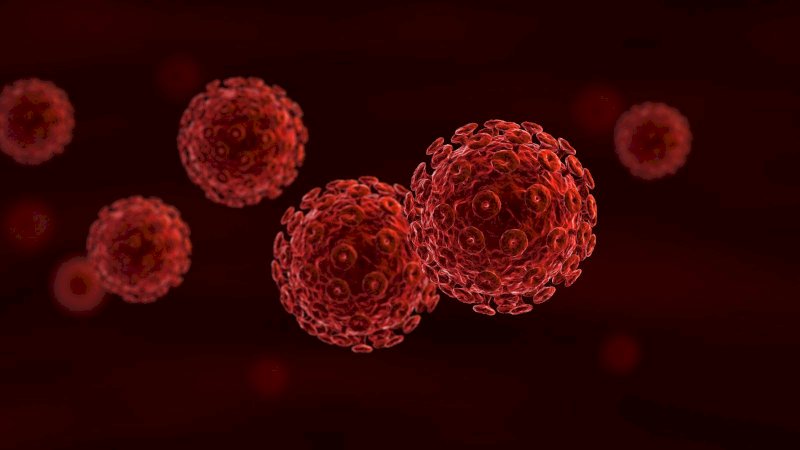 Usai Transplantasi, Pria Ini Bersih dari Virus HIV