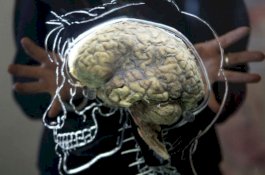 Bagaimana Efek Penuaan Pada Otak Manusia?