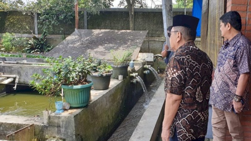 Wali Kota Palopo, HM Judas Amir (kiri), saat meninjau budidaya ikan sidat di Bogor.