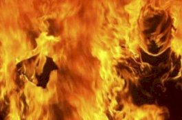 Korban Bakar Diri Bersama Pemerkosanya, Korban Selamat Pelaku Tewas