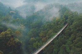 Biayanya Rp4 Miliar, Segini Tarif Masuk Jembatan Gantung Terpanjang yang Diresmikan Luhut