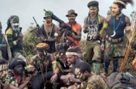 OPM Tebar Isu TNI Perkosa Wanita Papua, Warganet: 