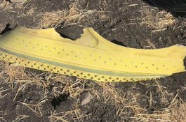 Pesawat Ethiopian Airlines yang Jatuh Ternyata Pesawat Baru