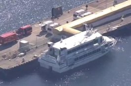 Kapal Feri Tabrak Ikan Paus, 87 Orang Terluka