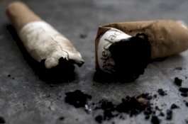 Mau Turunkan Kolesterol? Matikan Rokok Anda