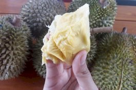 Bukan Air Putih, Ini Minuman yang Terbukti Atasi Mabuk Durian