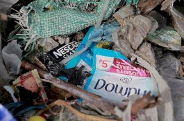 Sampah Plastik Kini Jadi Ancaman Kesehatan Utama Bagi Dunia