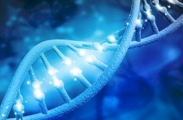 Para Ilmuwan Internasional Serukan Larangan Pengeditan Gen Manusia