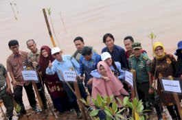 Gandeng Swasta, DLH Lutim Pulihkan Kawasan Hutan Mangrove di Lampia