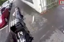 Penembakan di Masjid Selandia Baru, Pelaku Terinspirasi Game Fortnite