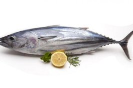 Manfaat Kesehatan Mengonsumsi Ikan Tongkol