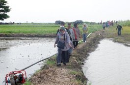 Ikan Tokke Resahkan Nelayan Wajo, Andi Mariattang Datangkan Pejabat KKP