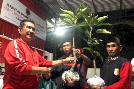 Ridwan Andi Wittiri Salurkan Bantuan Bang Pesona Kelompok Tani di Banteng