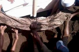 Meninggal Saat Jadi Imam, Jasad Kiai Ini Utuh Meski Terkubur 31 Tahun