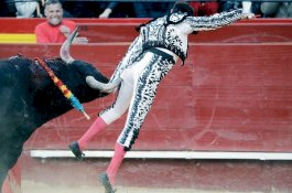 Detik-detik Mengerikan Matador Dilempar ke Udara oleh Banteng 532 Kg