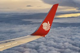 Dibantu Pilot Batik Air, Lion Air dari Denpasar Selamat Sampai Cengkareng