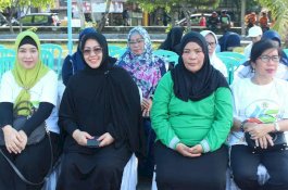 HUT PPNI, Ketua TP PKK Parepare: Perawat Itu Manusia Pilihan, Saya Tidak Sanggup