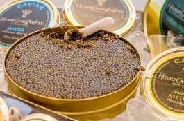 Sebagai Makanan Termahal, Ini Manfaat Caviar untuk Kesehatan
