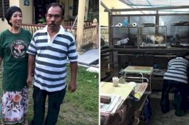 Pria Ini Habiskan 70% Gajinya untuk Beri Makan 80 Anak Kucing