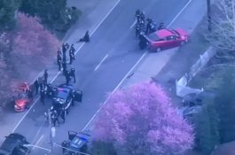 Seorang Pria Melepaskan Tembakan di Jalan, Dua Pengendara Tewas