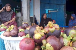 Harga Tak Semanis Rasanya, Petani Manggis Bulukumba Meringis
