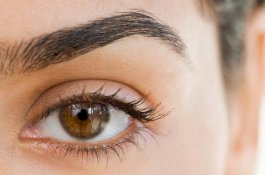 Membaca Kepribadian Orang dari Bentuk Alis