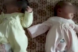 Dililit Utang, Orang Tua ini Jual Bayi Kembarnya Seharga Rp254 Juta