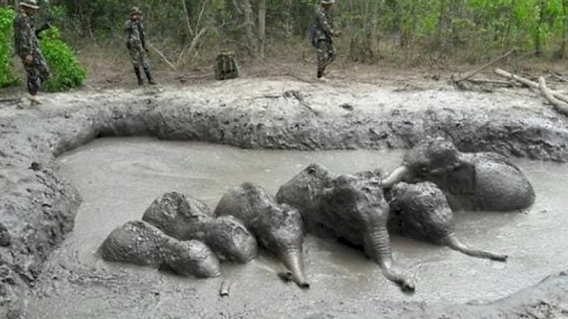 AFP