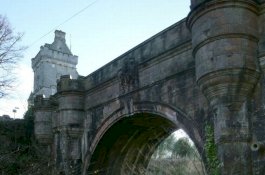 Misteri Jembatan Bunuh Diri, Tempat 50 Anjing Melompat Mati