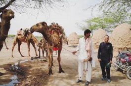 Jalan-Jalan ke Pakistan, Dahlan Iskan Tertipu Susu Unta