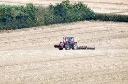 Luar Biasa! Ilmuwan Temukan Cara Menanam Tanaman Dengan Sedikit Air