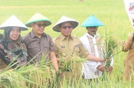 Bupati Hadiri Pesta Panen, Agus: Program Agro Smart Berbasis Teknologi 4.0 Mudahkan Petani