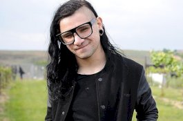 Nyamuk Demam Berdarah Takut Lagu Skrillex, Kok Bisa?