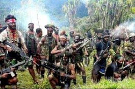 Egianus Kogeya Klaim Tembak Jatuh Helikopter TNI