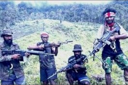 Serukan Boikot Pemilu, Egianus Kogeya Tantang Wiranto?