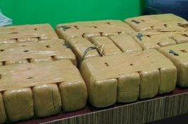 Wahyu dan Pacar Jandanya Ditangkap Bawa Ganja 40 Kg