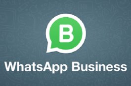 Akhirnya, WhatsApp Business untuk iPhone Tersedia di Indonesia