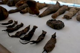 Mumi Tikus dan Elang Ditemukan di Makam Kuno Mesir