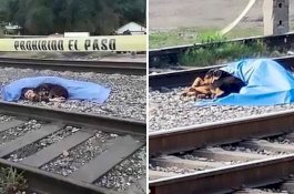 Foto Menyedihkan, Anjing Setia Tunggui Jasad Tuannya