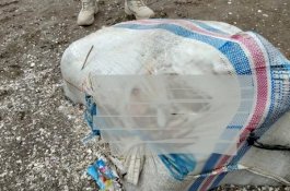 Kasus Mayat Dalam Koper Belum Terungkap, Kini Muncul Mayat Dalam Karung