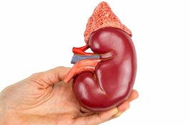 Demi Pengobatan Anak, Ibu Muda di Tulungagung Jual Ginjal