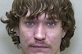 Ponsel Hilang, Aib Pria yang Berhubungan Seks dengan Anjing Terbongkar