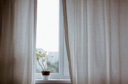 Tirai Mungkin Membuat Anda Sakit, Ini Sebabnya