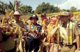 Dinas Pertanian Jeneponto Panen Jagung BISI-2, Wakil Bupati Apresiasi