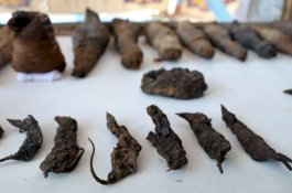 Bongkar Makam Suami Istri di Mesir, Peneliti Temukan Puluhan Mumi Tikus