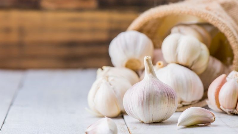 Bawang Putih Bisa Cegah Kepikunan Orang Lansia