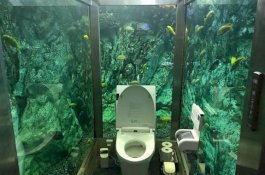 Pemandangan Toilet Akuarium Jepang yang Terkenal